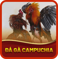 Sảnh Đá Gà Campuchia