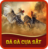 Sảnh Đá Gà Cựa Sắt
