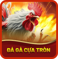 Sảnh Đá Gà Cựa Tròn