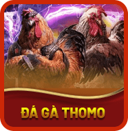 Sảnh Đá Gà Thomo